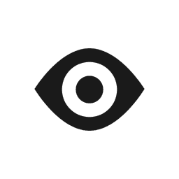vision icon